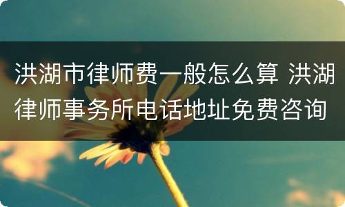 洪湖市律师费一般怎么算 洪湖律师事务所电话地址免费咨询