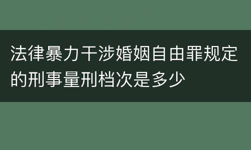 法律暴力干涉婚姻自由罪规定的刑事量刑档次是多少