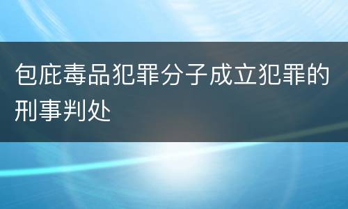 包庇毒品犯罪分子成立犯罪的刑事判处