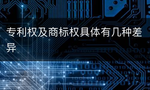 专利权及商标权具体有几种差异