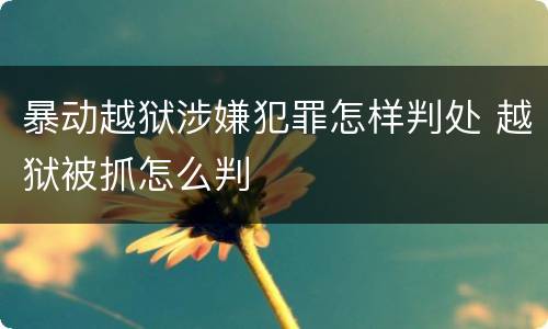 暴动越狱涉嫌犯罪怎样判处 越狱被抓怎么判