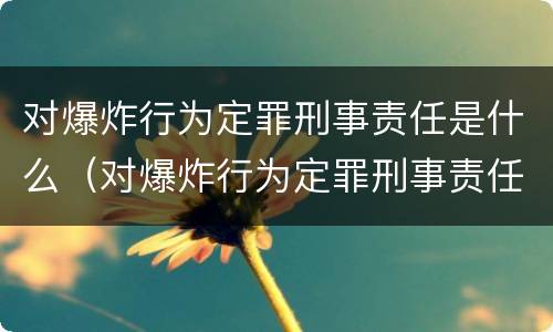 对爆炸行为定罪刑事责任是什么（对爆炸行为定罪刑事责任是什么）