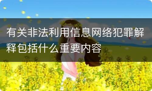 有关非法利用信息网络犯罪解释包括什么重要内容