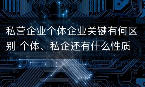 私营企业个体企业关键有何区别 个体、私企还有什么性质