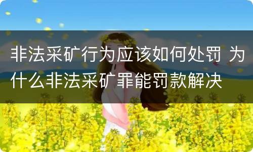 非法采矿行为应该如何处罚 为什么非法采矿罪能罚款解决