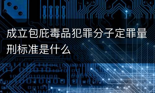 成立包庇毒品犯罪分子定罪量刑标准是什么