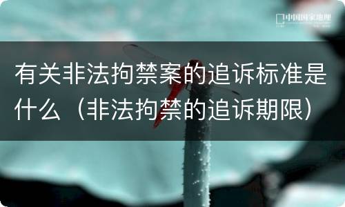 有关非法拘禁案的追诉标准是什么（非法拘禁的追诉期限）