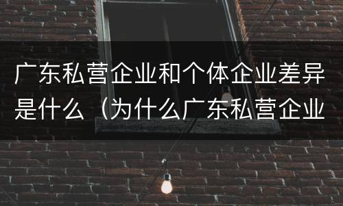 广东私营企业和个体企业差异是什么（为什么广东私营企业那么少）