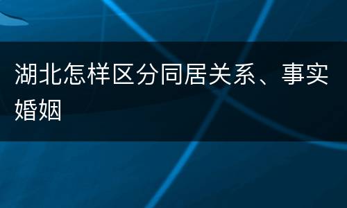 湖北怎样区分同居关系、事实婚姻
