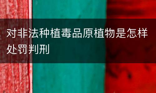对非法种植毒品原植物是怎样处罚判刑