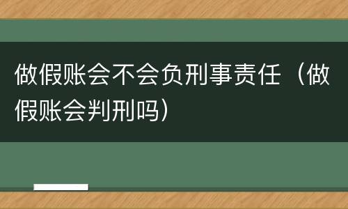 做假账会不会负刑事责任（做假账会判刑吗）