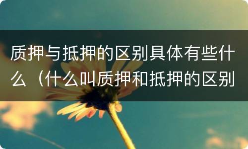 质押与抵押的区别具体有些什么（什么叫质押和抵押的区别）
