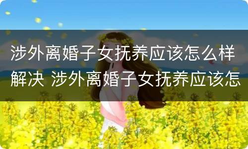 涉外离婚子女抚养应该怎么样解决 涉外离婚子女抚养应该怎么样解决问题