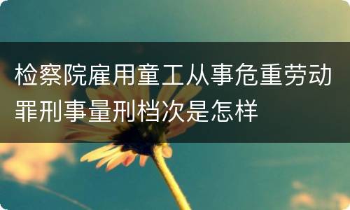检察院雇用童工从事危重劳动罪刑事量刑档次是怎样