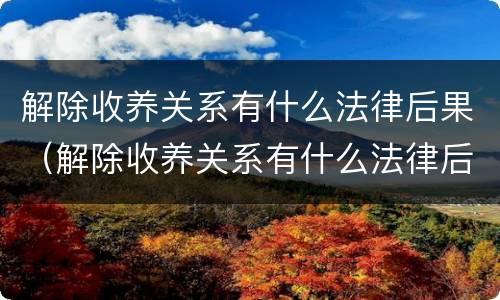解除收养关系有什么法律后果（解除收养关系有什么法律后果嘛）