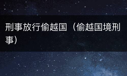 刑事放行偷越国（偷越国境刑事）