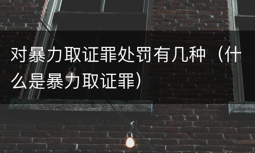 对暴力取证罪处罚有几种（什么是暴力取证罪）