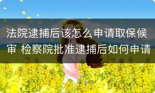 法院逮捕后该怎么申请取保候审 检察院批准逮捕后如何申请取保候审