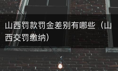 山西罚款罚金差别有哪些（山西交罚缴纳）