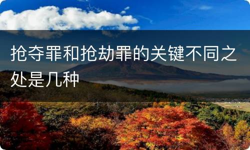 抢夺罪和抢劫罪的关键不同之处是几种