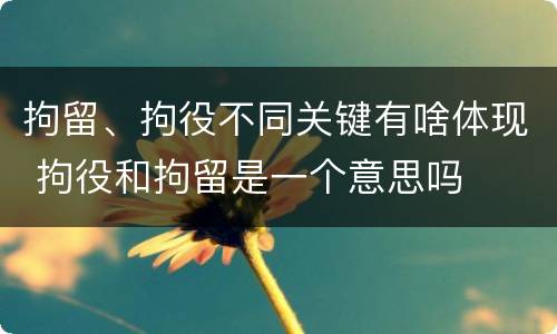 拘留、拘役不同关键有啥体现 拘役和拘留是一个意思吗