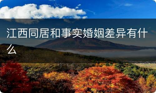 江西同居和事实婚姻差异有什么