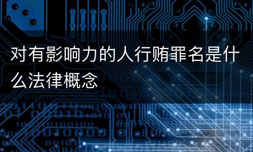 对有影响力的人行贿罪名是什么法律概念