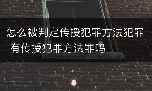 怎么被判定传授犯罪方法犯罪 有传授犯罪方法罪吗