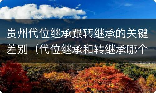 贵州代位继承跟转继承的关键差别（代位继承和转继承哪个优先）
