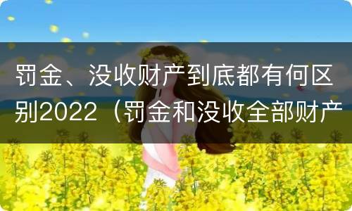 罚金、没收财产到底都有何区别2022（罚金和没收全部财产）