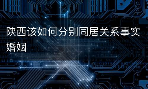 陕西该如何分别同居关系事实婚姻