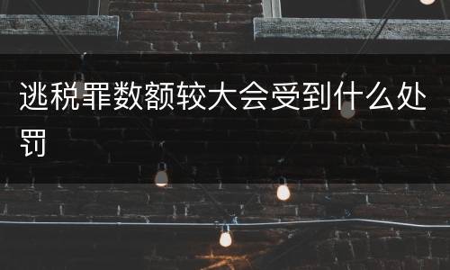 逃税罪数额较大会受到什么处罚