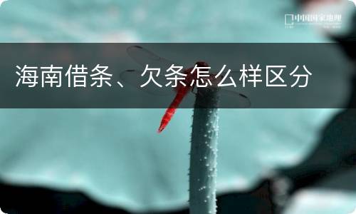 海南借条、欠条怎么样区分