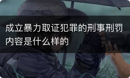 成立暴力取证犯罪的刑事刑罚内容是什么样的