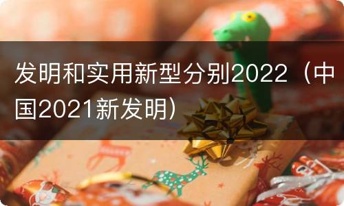发明和实用新型分别2022（中国2021新发明）