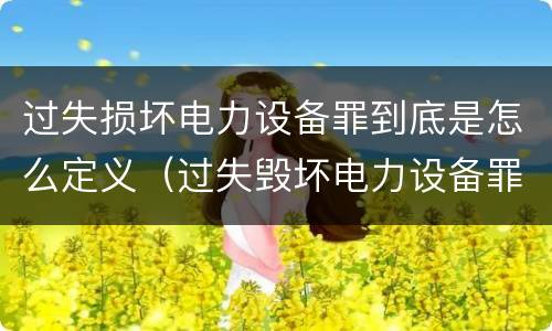 过失损坏电力设备罪到底是怎么定义（过失毁坏电力设备罪）