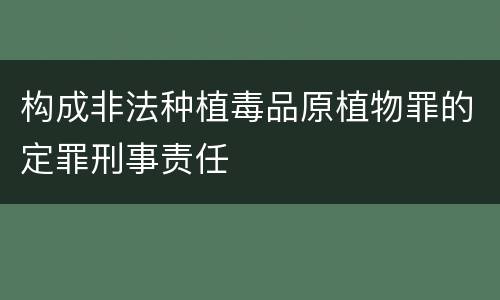 构成非法种植毒品原植物罪的定罪刑事责任