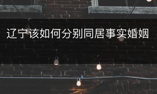 辽宁该如何分别同居事实婚姻