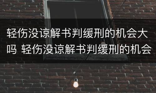 轻伤没谅解书判缓刑的机会大吗 轻伤没谅解书判缓刑的机会大吗?