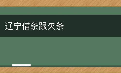辽宁借条跟欠条