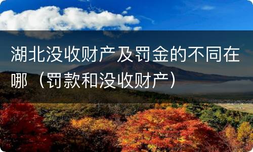 湖北没收财产及罚金的不同在哪（罚款和没收财产）