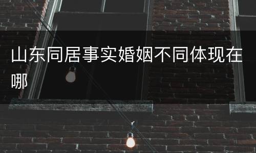 山东同居事实婚姻不同体现在哪