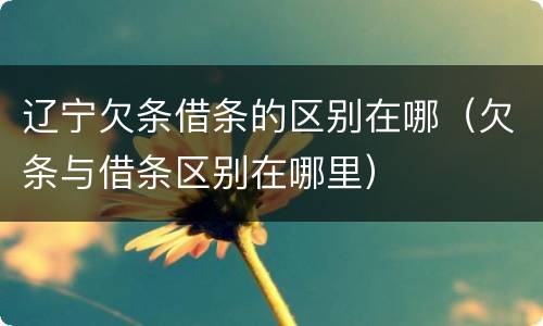 辽宁欠条借条的区别在哪（欠条与借条区别在哪里）