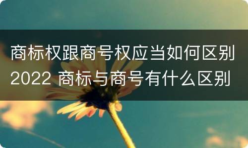 商标权跟商号权应当如何区别2022 商标与商号有什么区别