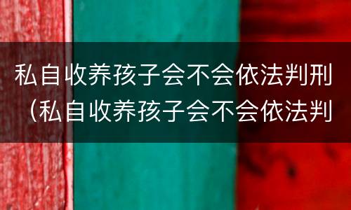私自收养孩子会不会依法判刑（私自收养孩子会不会依法判刑呀）