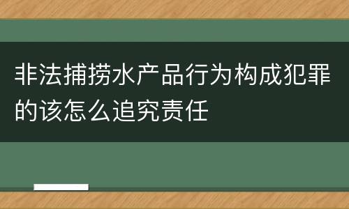 非法捕捞水产品行为构成犯罪的该怎么追究责任
