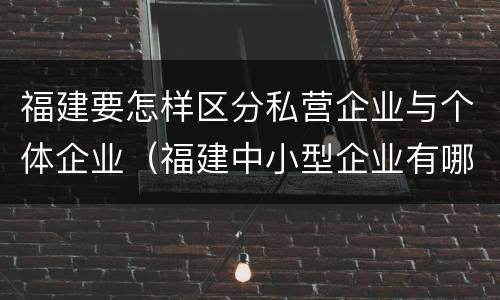 福建要怎样区分私营企业与个体企业（福建中小型企业有哪些）
