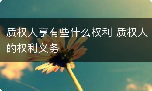 质权人享有些什么权利 质权人的权利义务
