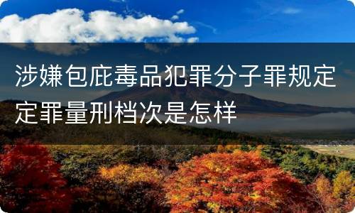 涉嫌包庇毒品犯罪分子罪规定定罪量刑档次是怎样