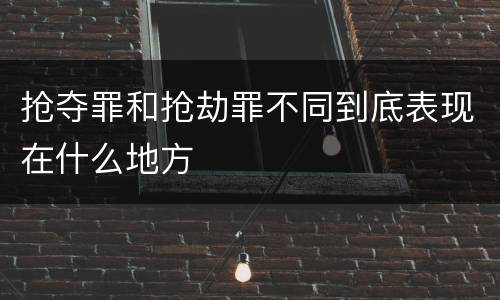 抢夺罪和抢劫罪不同到底表现在什么地方